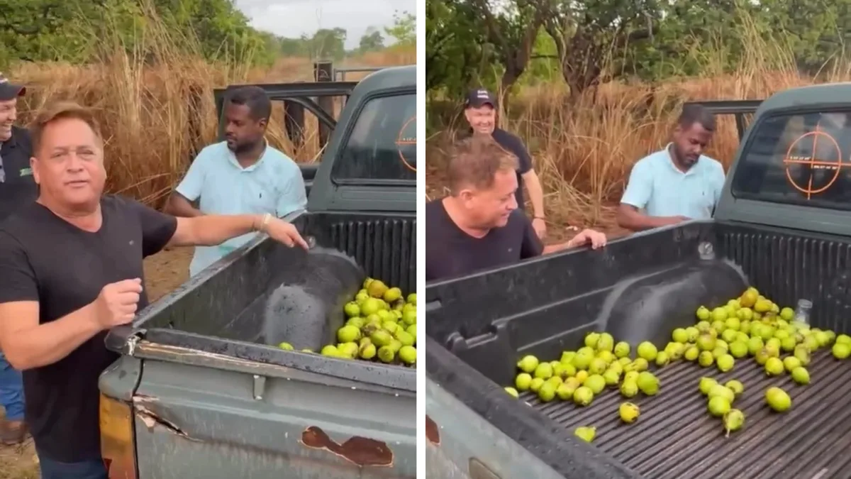VÍDEO: Leonardo pega pequi no meio de fazenda e mostra carroceria cheia: ‘Será que a gente gosta?’