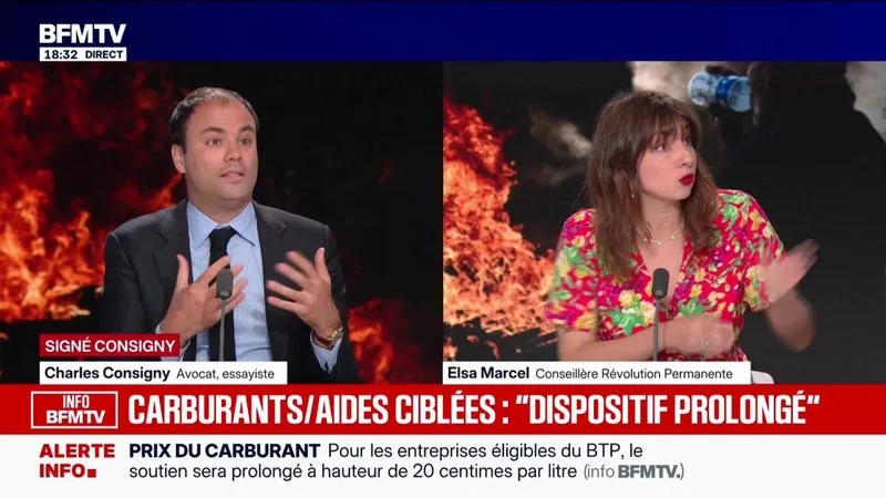 SIGNÉ CONSIGNY - Crise des carburants: "On voit toute la limite du système", affirme Charles Consigny