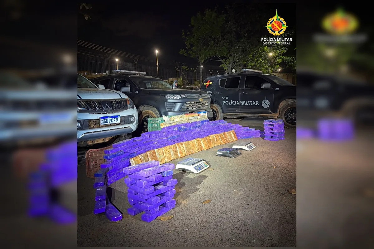 PMDF apreende mais de 200 tabletes de drogas enterrados em chácara