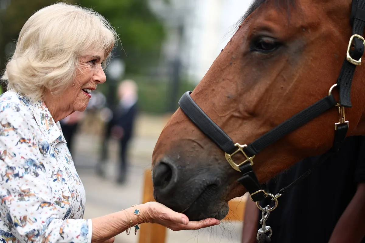 Camilla’s praise for inner-city riding club