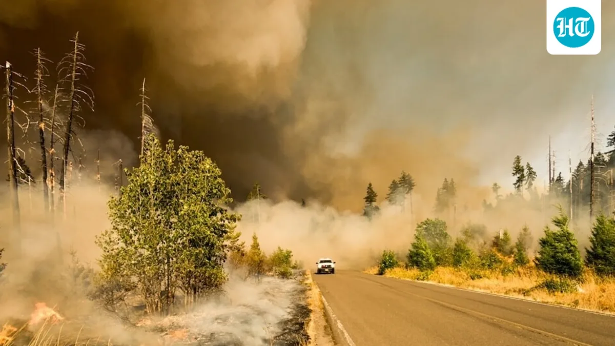 Reno Hawk Fire evacuation map: Wildfire spreads near Somersett; Peavine Peak, Verdi, Mogul and Cold Springs on alert