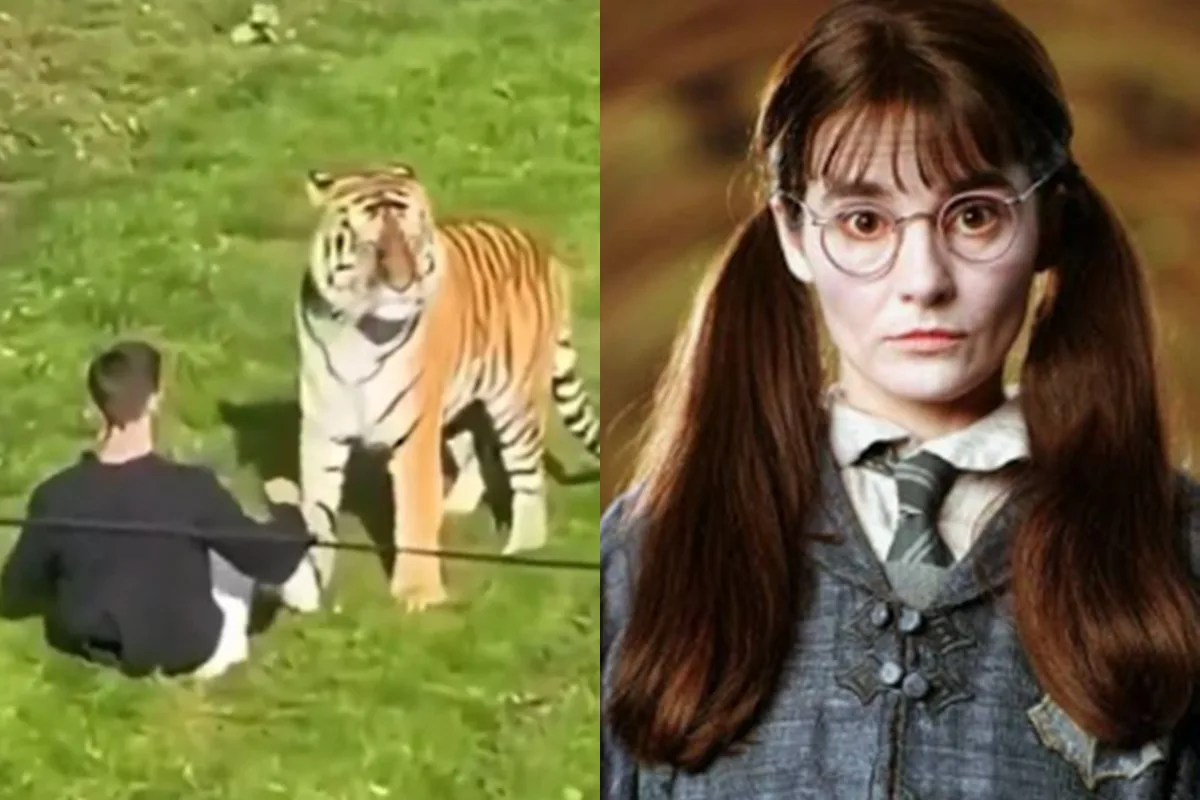 Homem morto por tigre em zoológico fez filme com estrela de Harry Potter