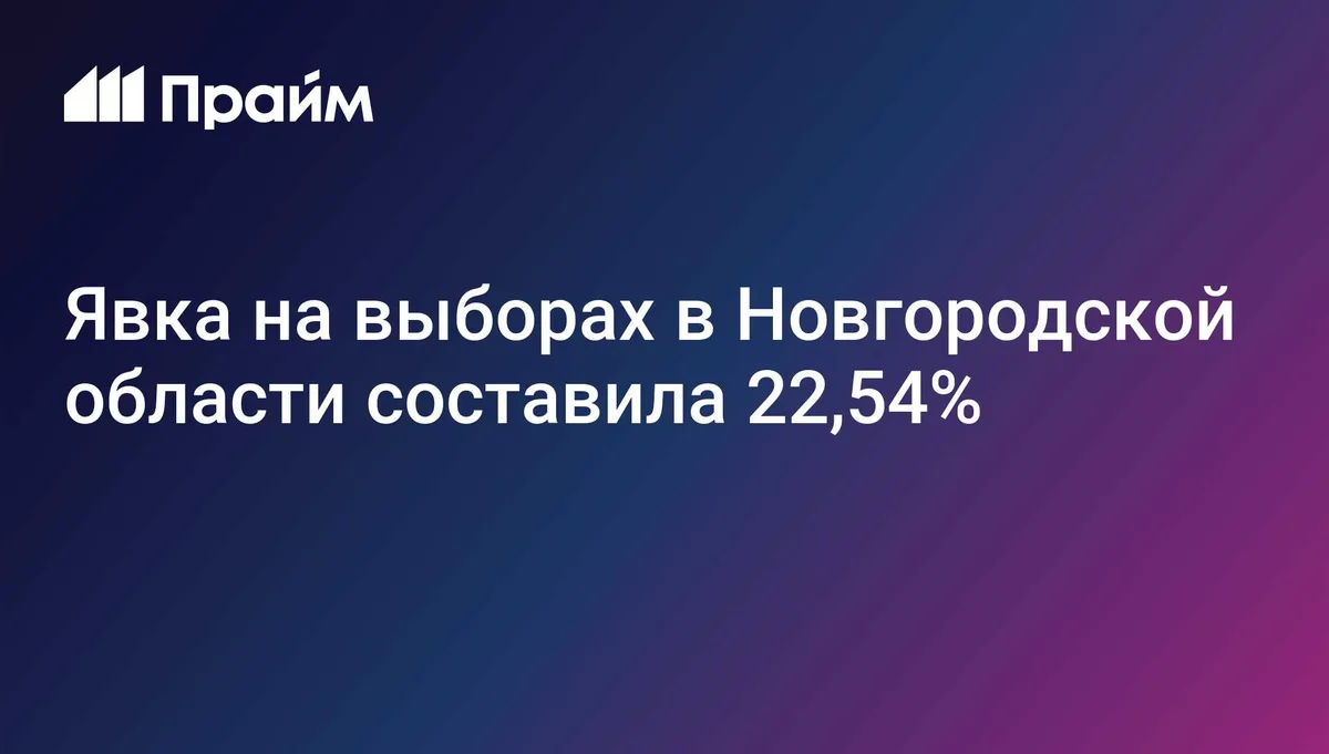 Явка на выборах в Новгородской области составила 22,54%