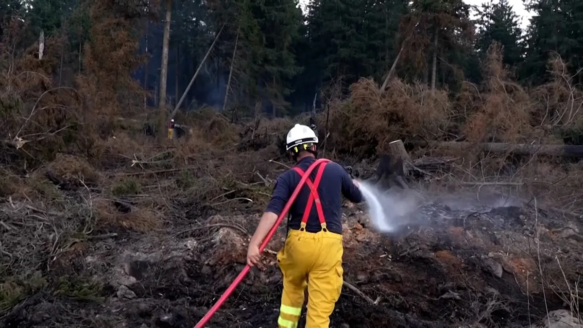 Hitze lässt Munition explodieren - Waldbrand löst Weltkriegsbomben aus