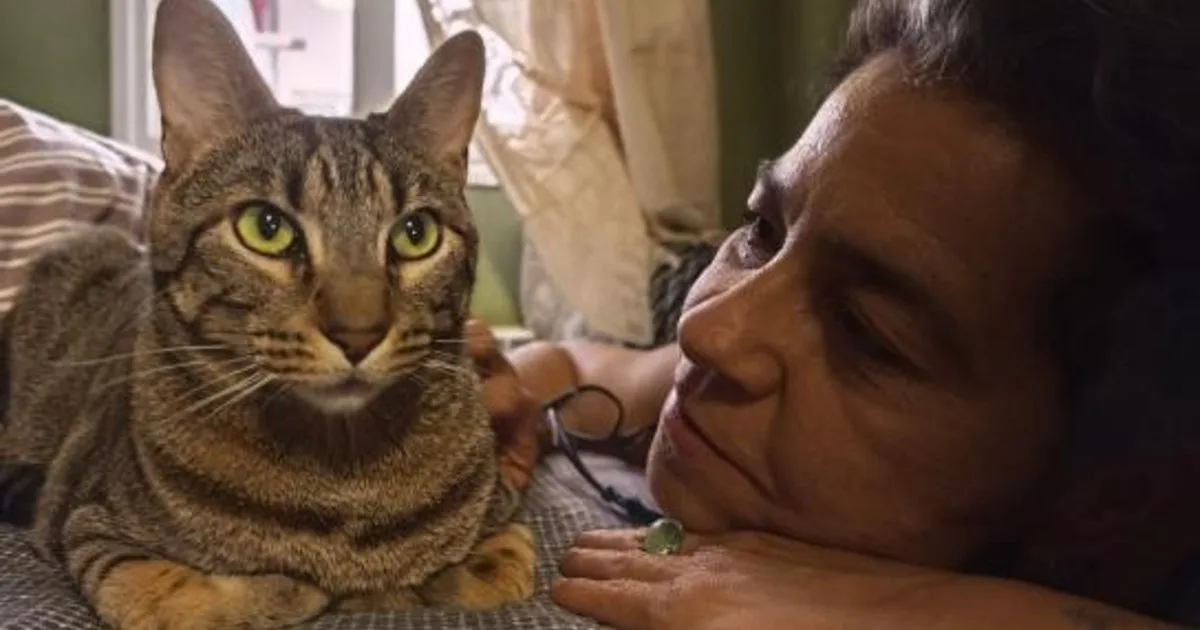 Mari Paz Bulnes, gestora de colonias felinas: “Ayudar a los gatos de la calle es darles la tranquilidad que la vida no les ha dado”