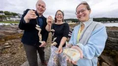 Lost oyster beds rediscovered thanks to Gaelic and Scots language