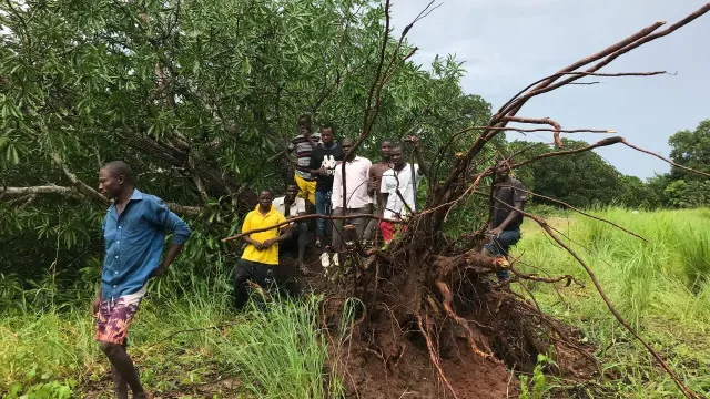 Surto de sarampo atinge quase 1.500 pessoas em Moçambique