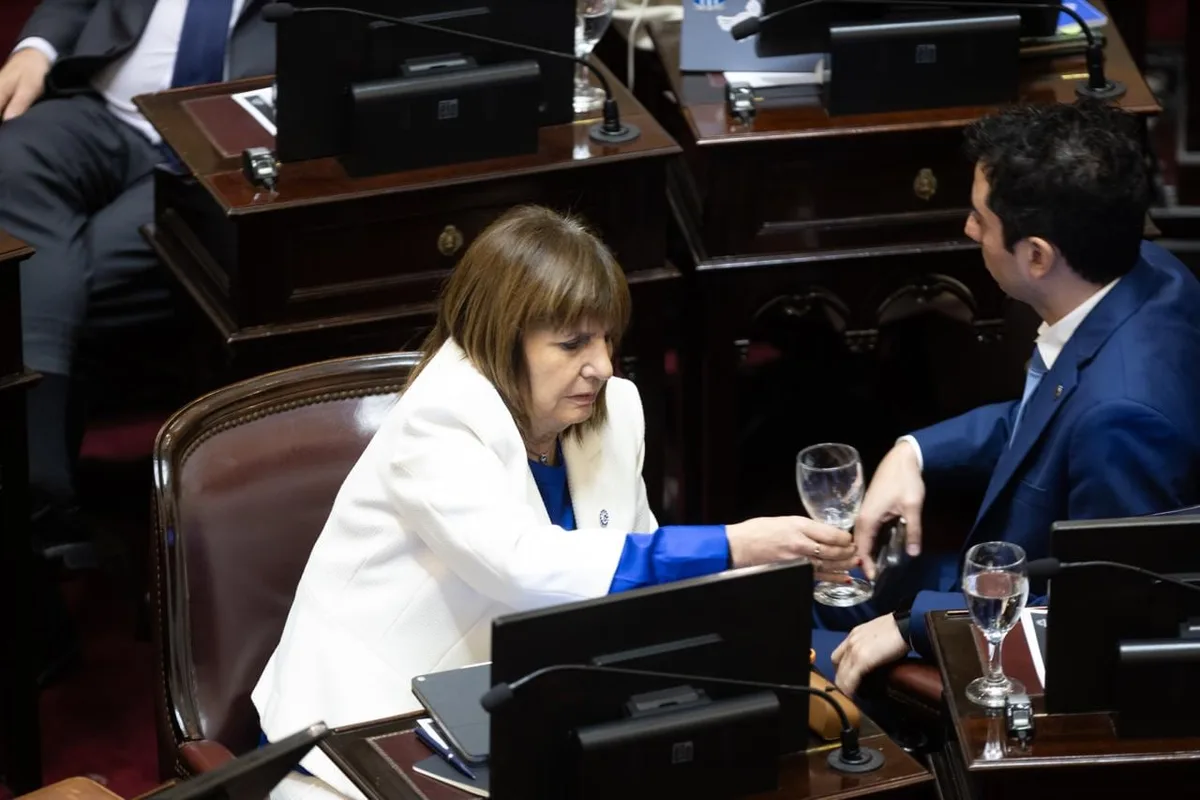 Patricia Bullrich apoyó el dictamen a jueces vetados por Karina Milei, en otro gesto de rebeldía