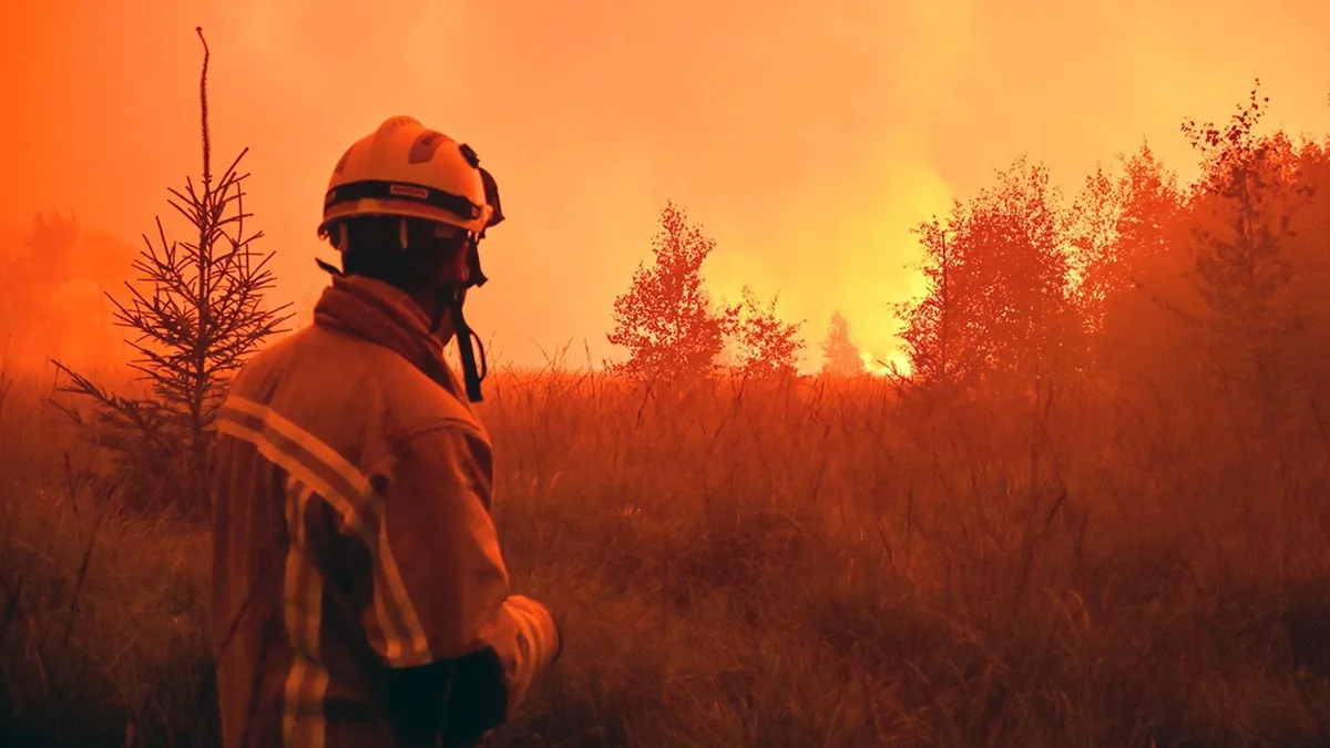 Studie warnt vor deutlich mehr Waldbränden in Europa