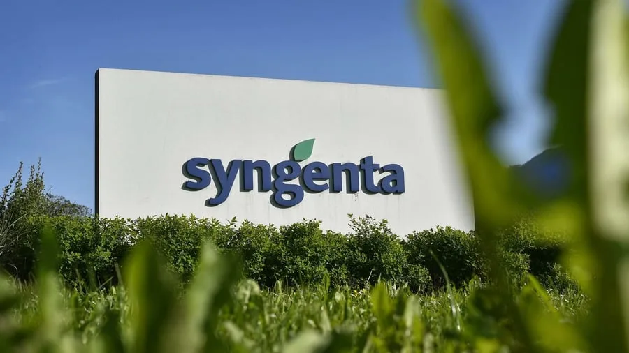 Saatgutkonzern: Syngenta peilt offenbar Börsengang in Hongkong an