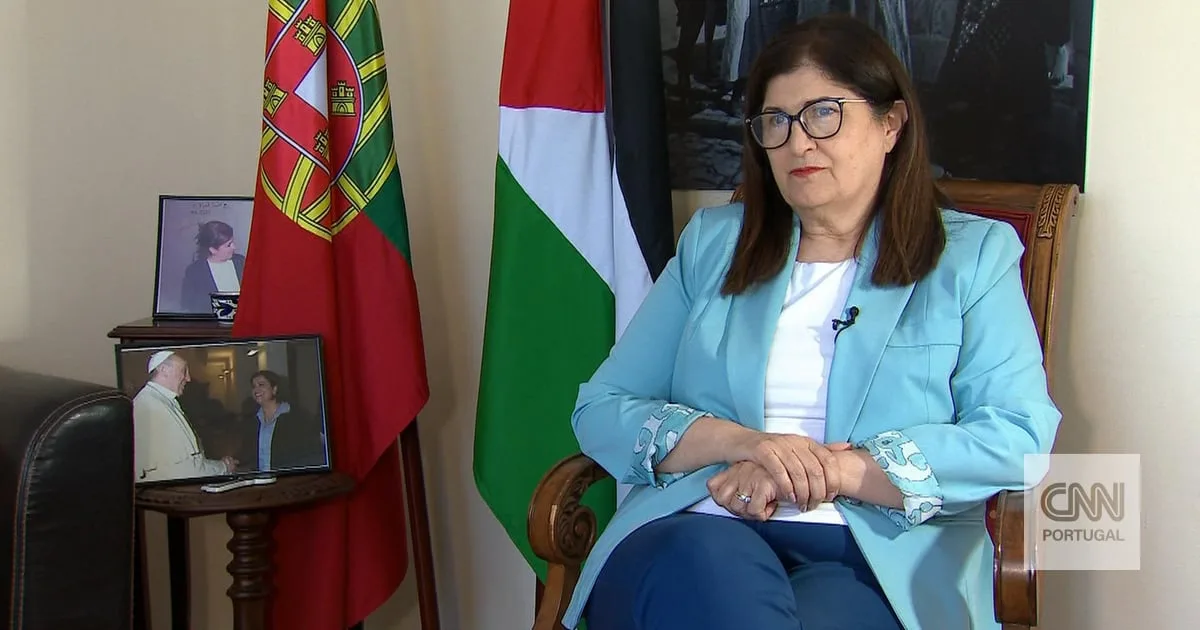 "Os colonos são usados ​​como um instrumento para aterrorizar os palestinianos. Se Israel tivesse a intenção de detê-los, poderia tê-lo feito"