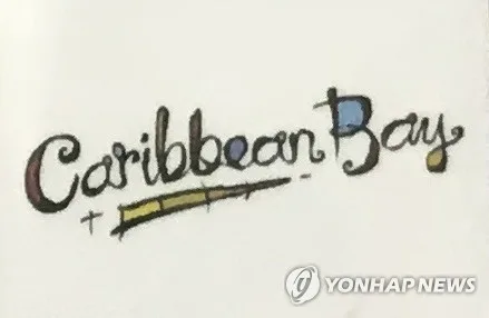 가발 쓰고 캐리비안 베이 女탈의실 몰카 찍은 20대 구속영장