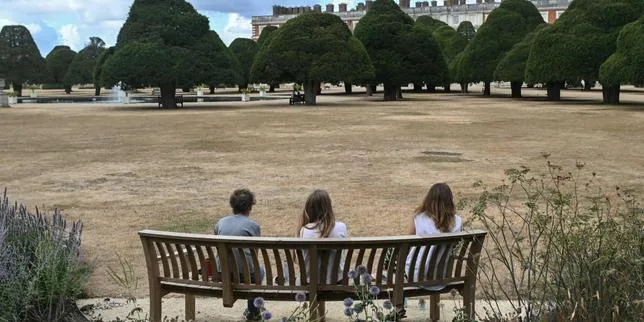 Irène Pereira, philosophe : « On souhaite que les jeunes se mobilisent, mais on ne les forme qu’à voter et pas à être des défenseurs des droits humains et environnementaux »