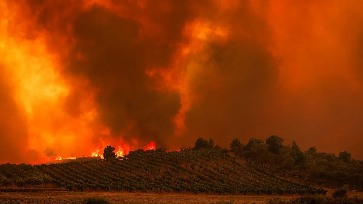 População local pede responsabilidades pelo incêndio em Carrazeda de Ansiães. Proteção Civil vai avaliar a resposta ao fogo