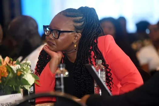 Siviwe Gwarube warns of R120bn school infrastructure shortfall