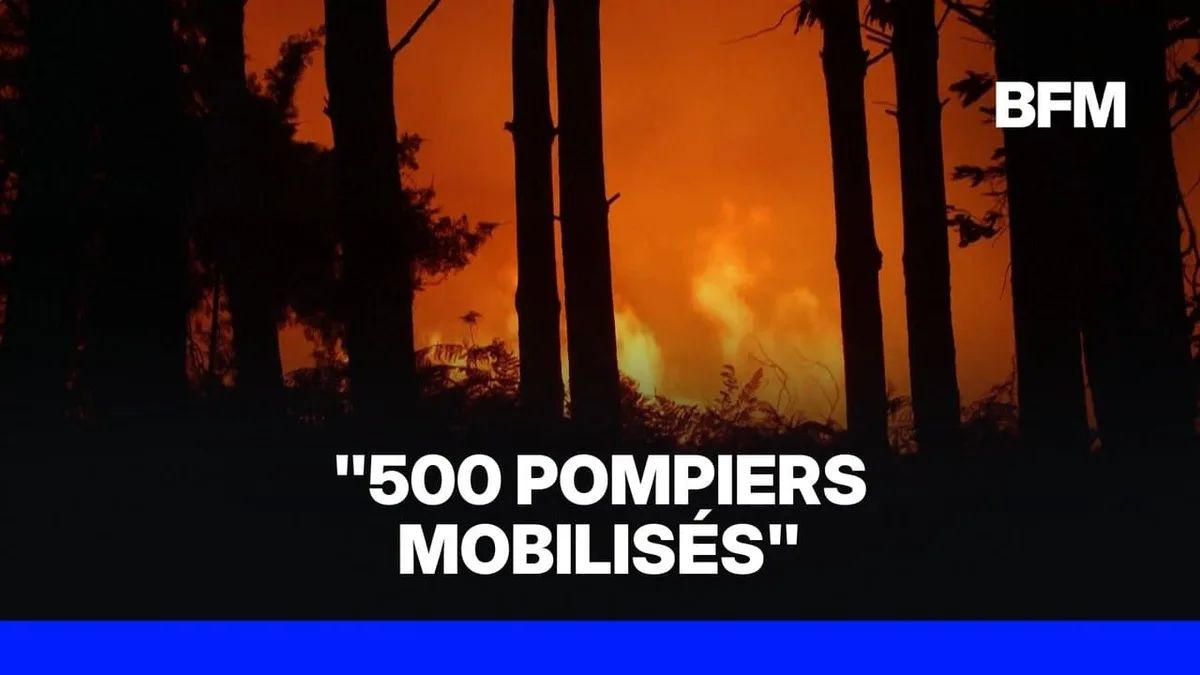 Incendies dans les Landes: au moins 1.100 hectares parcourus et 525 personnes évacuées