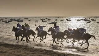 ¡Todo terreno! Hijo del campeón Frankel gana una carrera en la playa de Sanlúcar de Barrameda