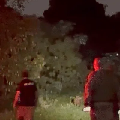 Mesmo ferida, capivara com flecha cravada escapa de captura e resgate é adiado