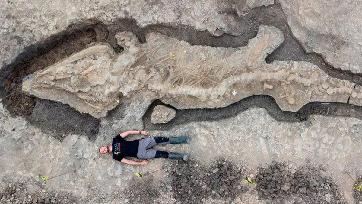 En 2009, un hombre encontró un hueso extraño en una playa de Asturias: acabamos de saber que pertenece a un dinosaurio que se creía exclusivo de Reino Unido