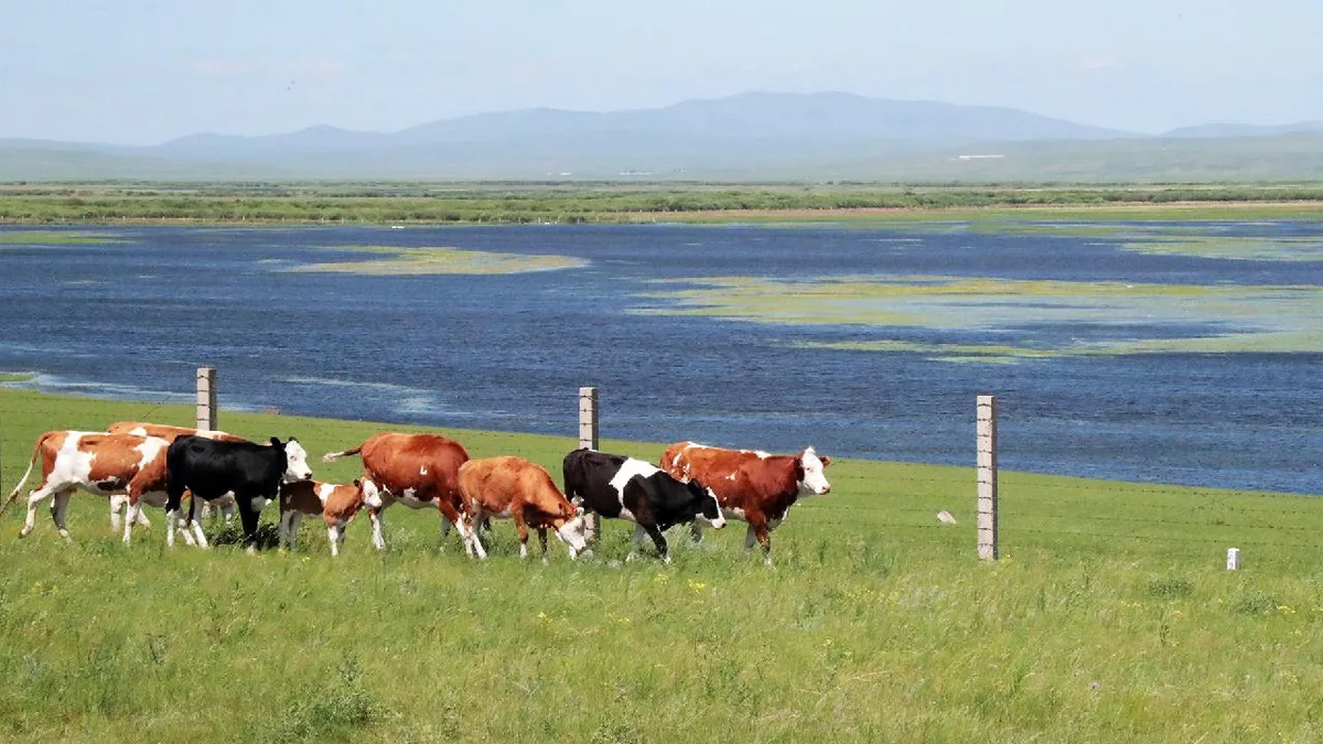 A scenic journey along the Ergun River in Hulunbuir