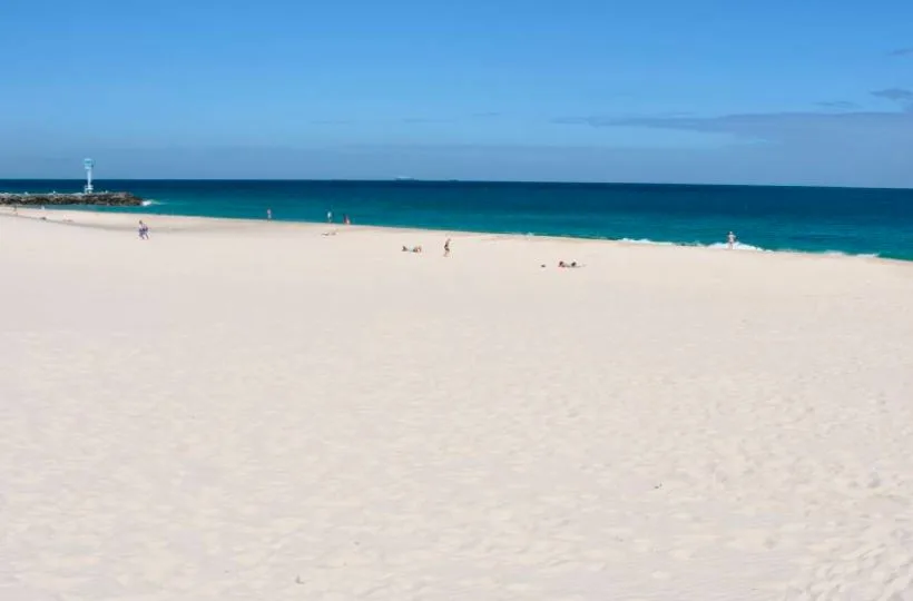 Hombre sufrió trágica muerte en una playa de Australia tras ser atacado por un tiburón