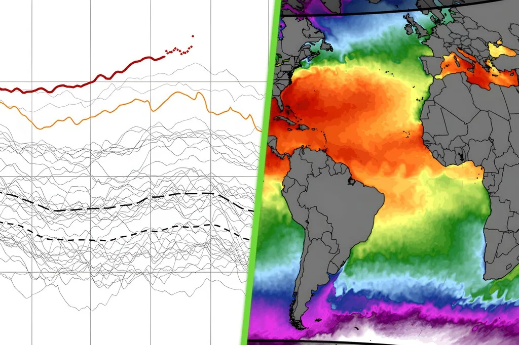 Los expertos comienzan a ponerse nerviosos: "probablemente registramos la temperatura más alta del mar desde hace 125,000 años"