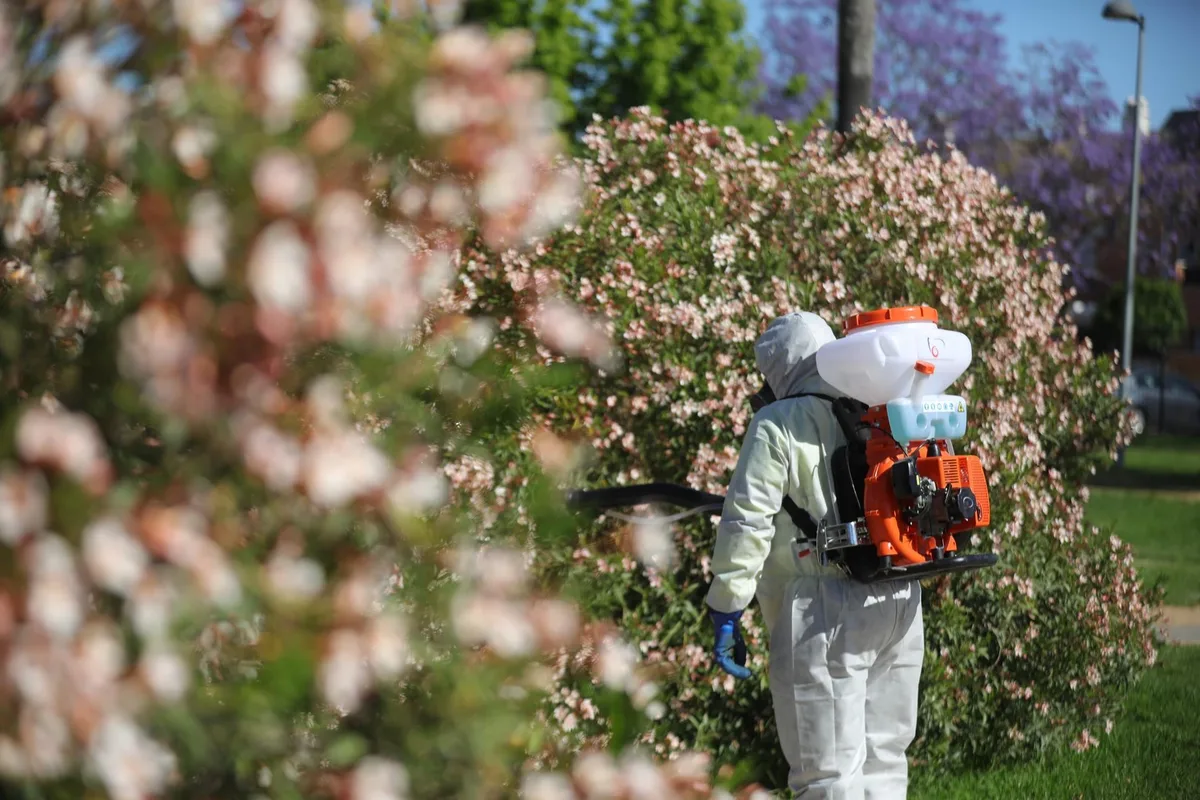 Un hombre de 89 años, segunda víctima mortal en Andalucía por el virus del Nilo