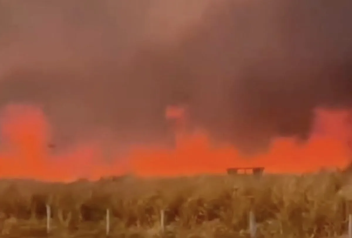 Incêndios avançam por áreas rurais e destroem plantações e vegetação em Rondônia e Tocantins