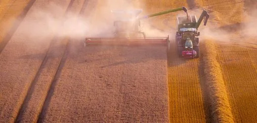 Dürre: Bauern melden große Einbrüche bei der Ernte