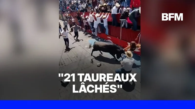 Mexique: deux morts et au moins neufs blessés lors d'un lâcher de taureaux