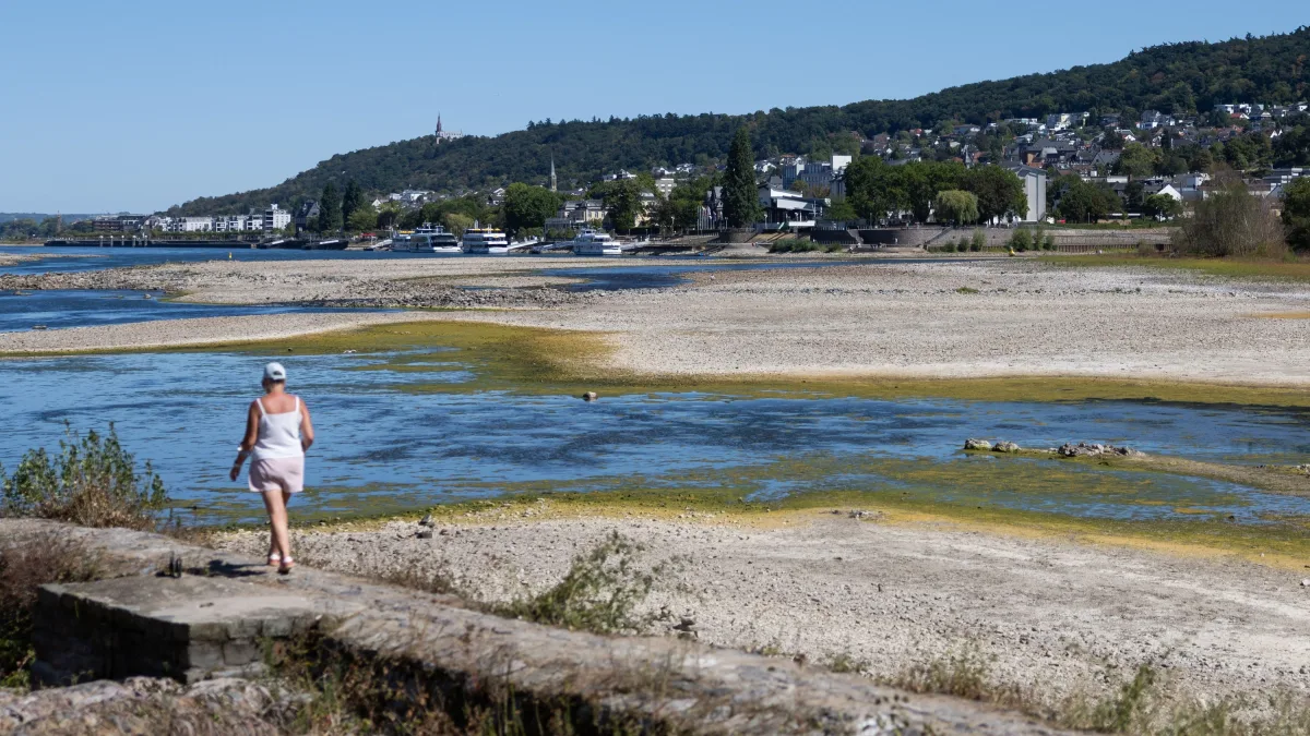 Niedrigwasser im Rhein: Ein Fluss ist im Stress