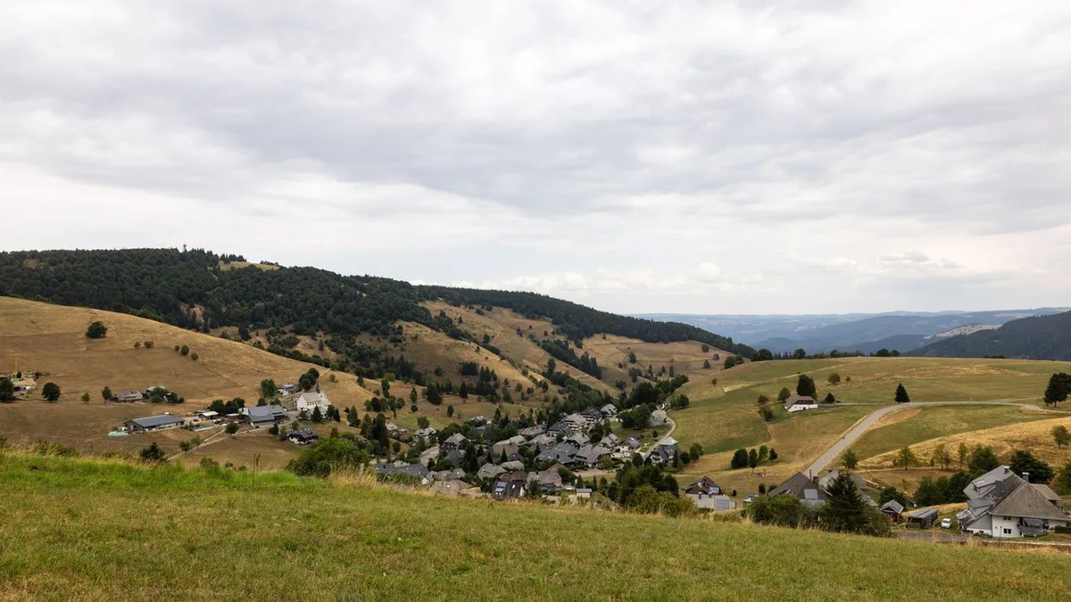 Trockenheit: Grundwasser im Südwesten erreicht neue Tiefststände