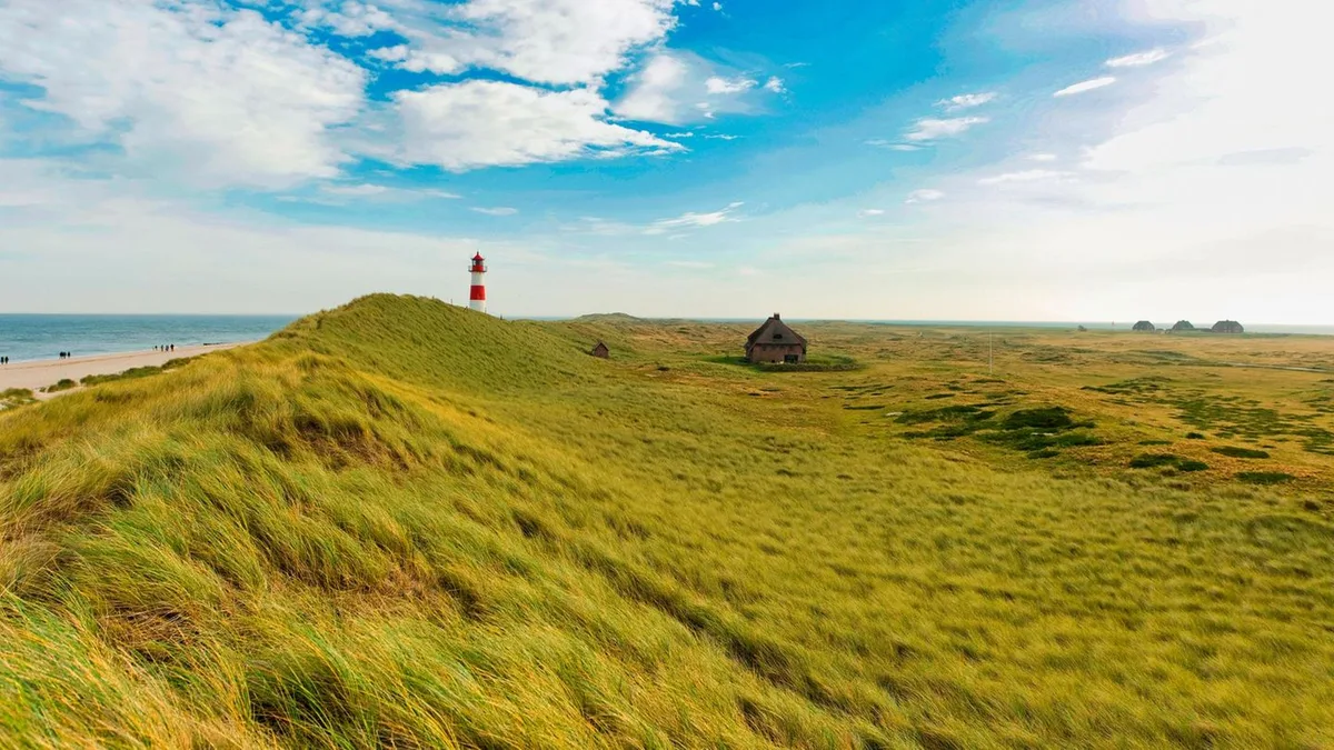 Reisetipps: Günstig urlauben auf der Luxusinsel Sylt – so geht's