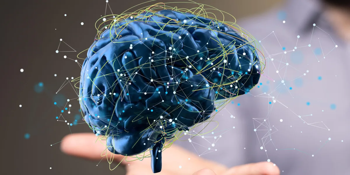 El alimento que puede mejorar la salud del cerebro si está incluido en dietas de calidad