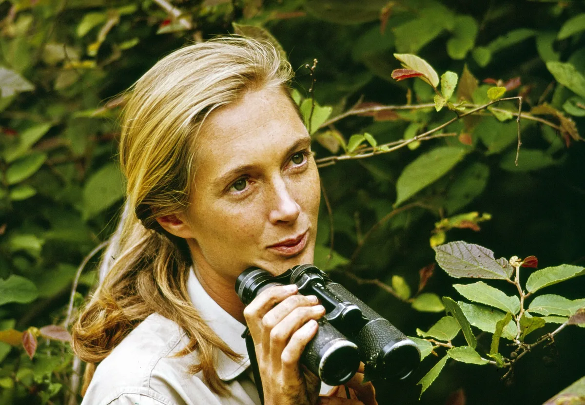 Jane Goodall, etóloga: “Lo que haces marca la diferencia, y tienes que decidir qué tipo de diferencia quieres marcar”