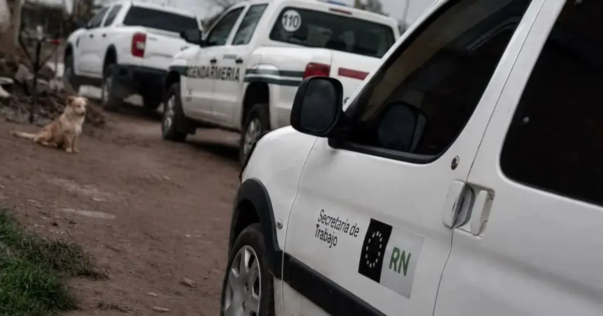 Operativo en Viedma por una posible trata laboral: hallaron a trabajadores en condiciones extremas