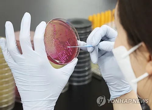 김제지평선축제서 김밥 먹은 260명 집단 식중독 의심 증상