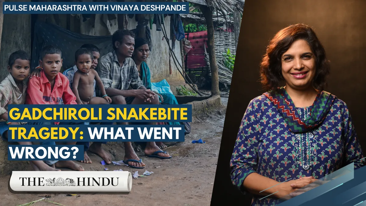 Gadchiroli snakebite tragedy: School, road under scrutiny | Pulse Maharashtra