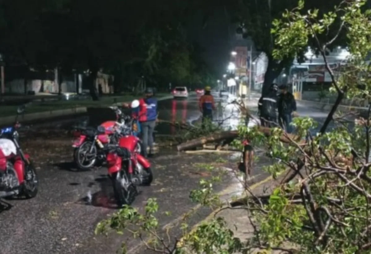 Onda tropical número 37 dejó inundaciones y la caída de al menos tres árboles en Aragua