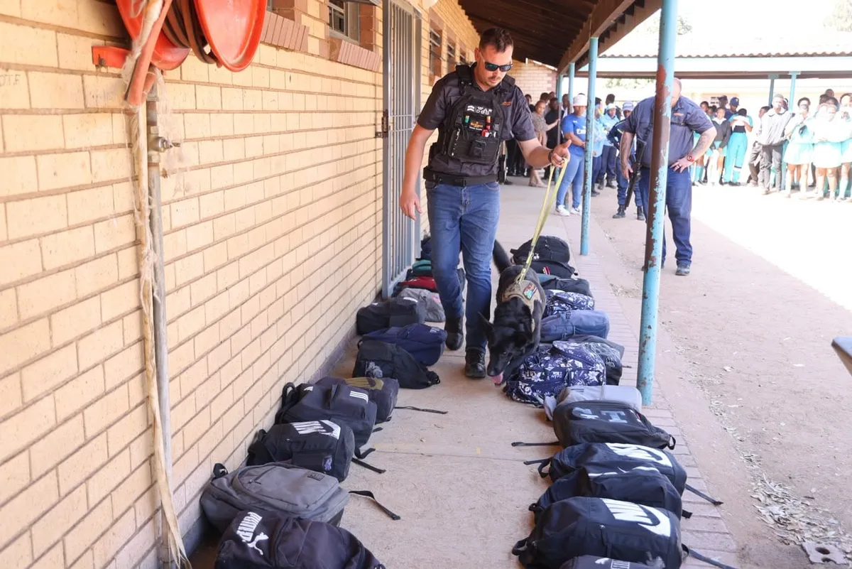 Dagga, nyaope and abortion pills found after 17 Gauteng schools raided