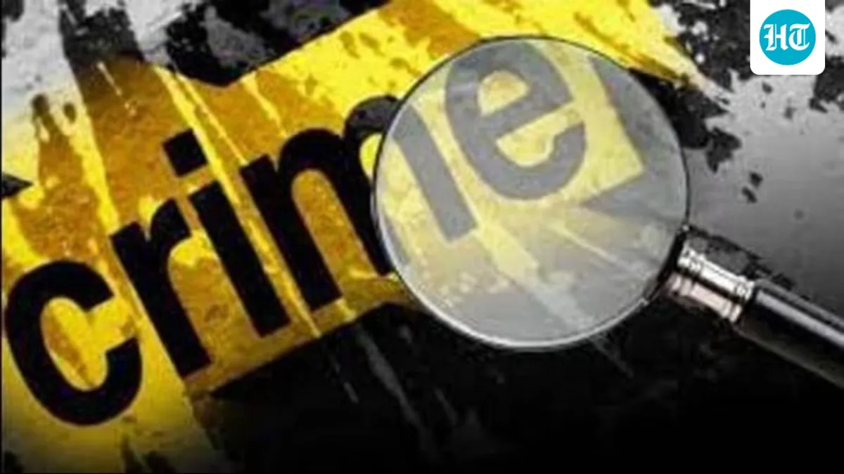 Indian-origin man lures estranged wife to Chicago; stabs her to death after she rejects reconciliation