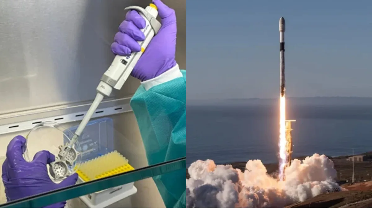 Lanzaron tejidos humanos a la estación espacial para estudiar el envejecimiento