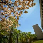 Filtro de relevância do STJ entra em vigor em setembro; veja como será o fluxo