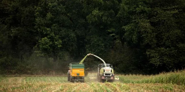 La mise en œuvre de la politique agricole commune jugée « inadaptée » par la Cour des comptes