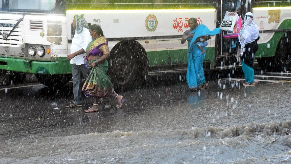 Amid week-long rain forecast in Telangana, Health department warns of rise in dengue, viral infections