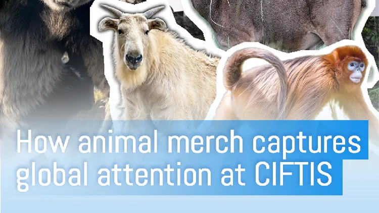 Stamp of approval: CIFTIS exhibitors take on Beijing Zoo's challenge
