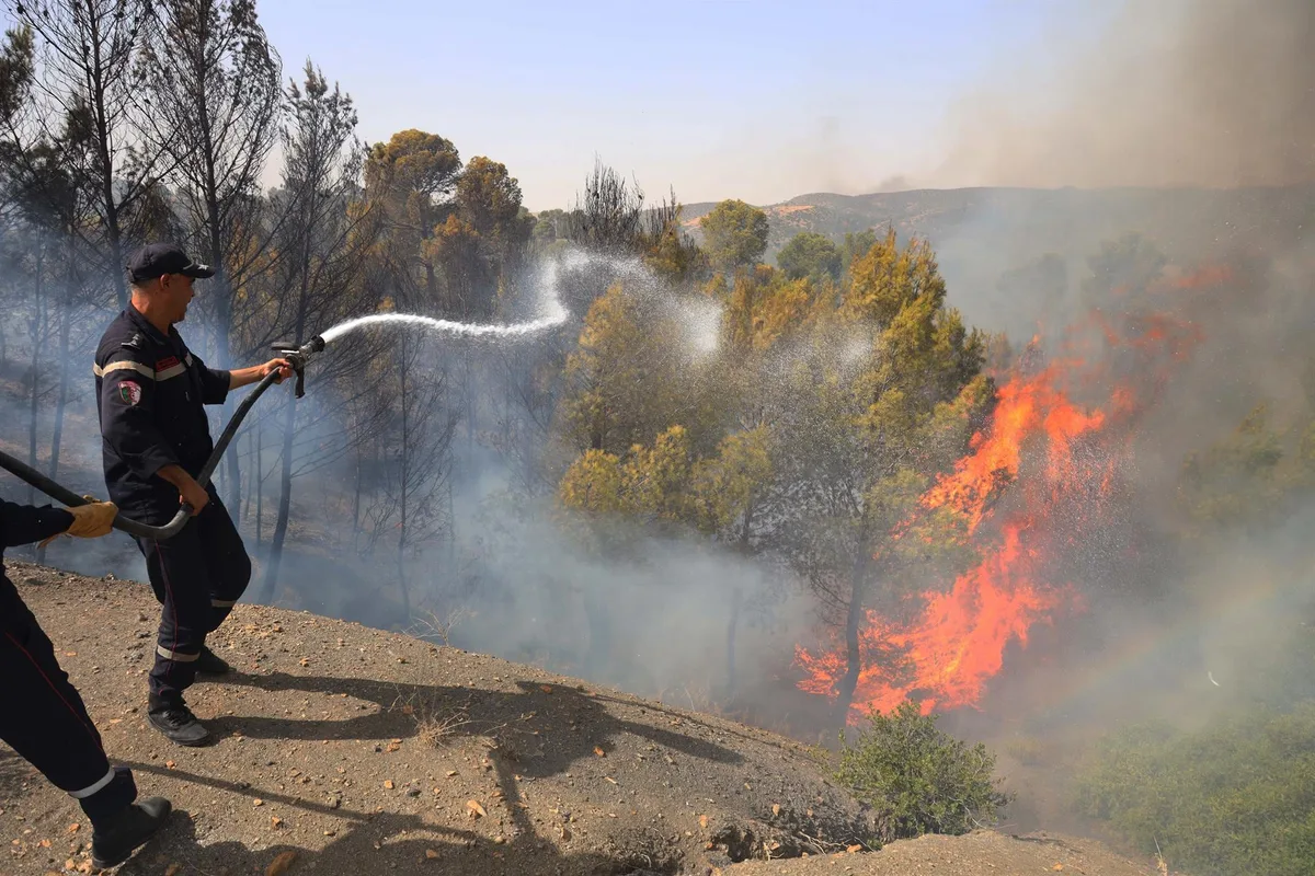 Al menos doce muertos y más de 50 quemados en incendios en el noreste de Argelia