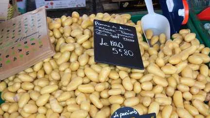 Les producteurs de pommes de terre s'attendent à une chute de 23% de la récolte en raison de la sécheresse