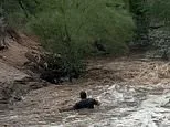 Once in a thousand year storm feared as life-threatening floods to wash out millions in four US states