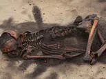 Ancient bones reveal the terrifying reality of life in a Viking village: Scientists uncover evidence of smashed skulls, shattered limbs and a woman whose leg was hacked in half